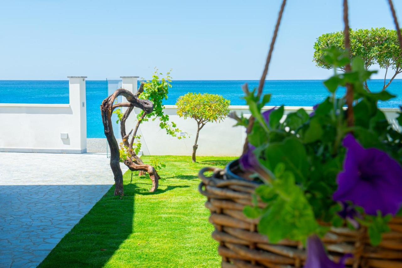 Mbaccimari B&B Cetraro Kültér fotó