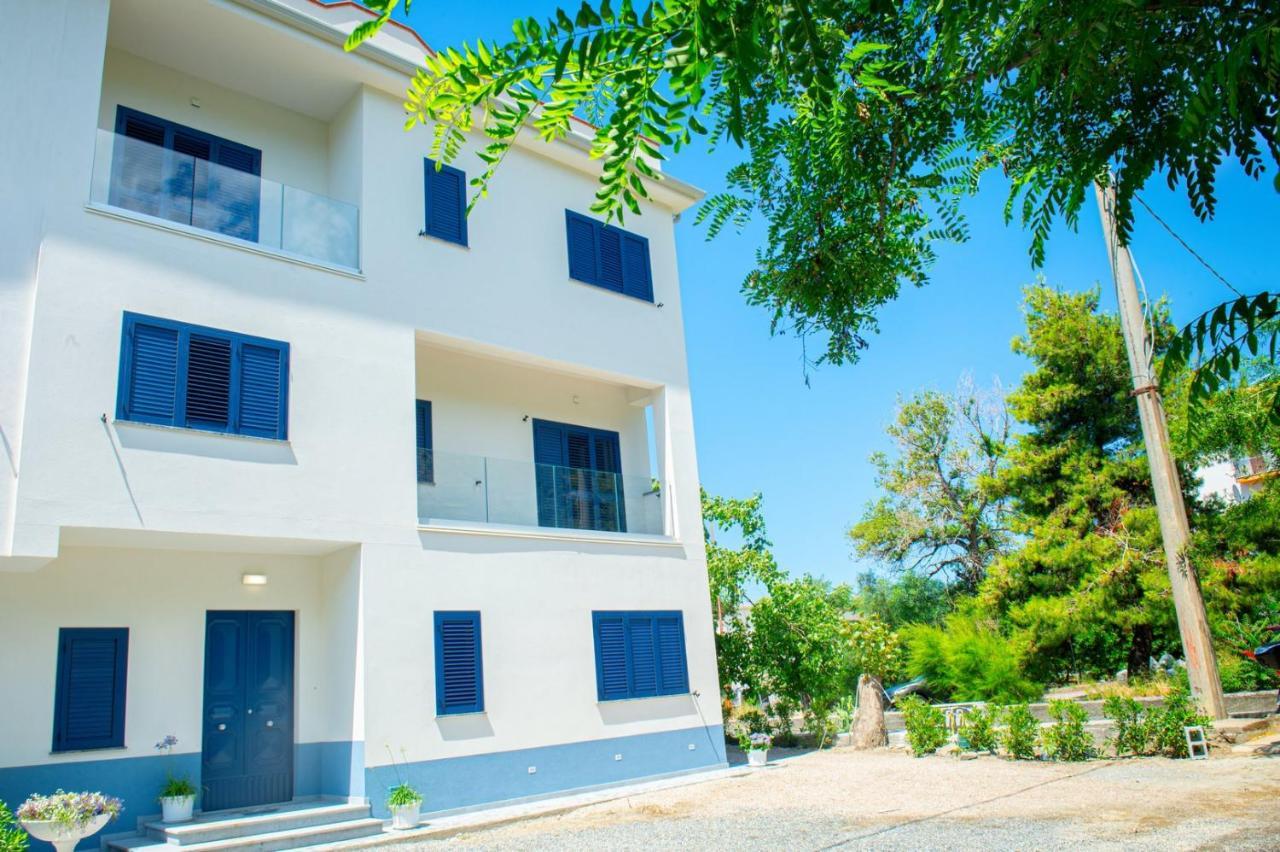 Mbaccimari B&B Cetraro Kültér fotó